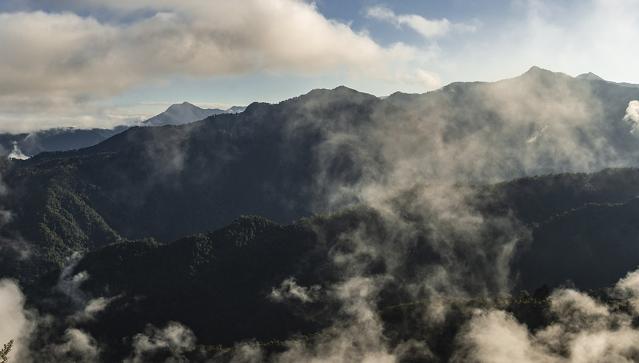 Bellavista Cloud Forest Reserve